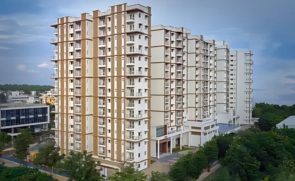 prestige pine Forest